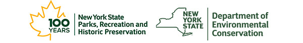 New York logo mobile